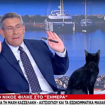 Η στιγμή που μια μαύρη γάτα εισβάλλει στο στούντιο του ΣΚΑΪ – Γιατί προτίμησε τον Άκη Παυλόπουλο [vid]