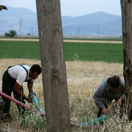 Πληρωμές αγροτών: Πάνω από 3,7 δισ. ευρώ έως το τέλος του έτους - Όλες οι ημερομηνίες πληρωμών