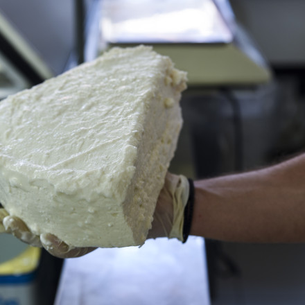 Η φέτα γίνεται...λευκός χρυσός: Η ευλογιά κόβει το γάλα και ανεβάζει τις τιμές του εθνικού προϊόντος