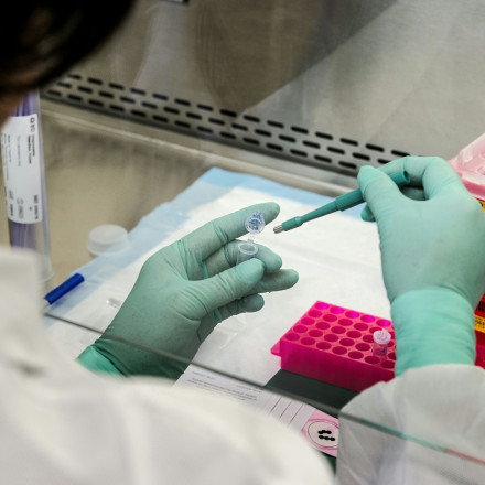 Νέο φάρμακο μπορεί να «ξαναχτίσει» την καρδιά μετά από έμφραγμα, σύμφωνα με μελέτη