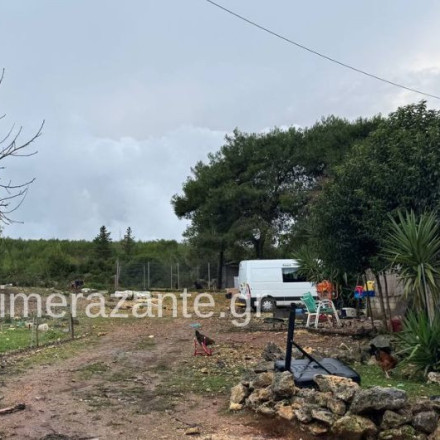 «Δεν έχουμε ξαναδεί τέτοια εικόνα» - Ανατριχιάζουν οι γιατροί για τη φονική επίθεση του πίτμπουλ