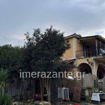 Ζάκυνθος- Συγκλονίζει ο πατέρας: «Πήρα τον σκύλο για να έχει κάπου να μείνει και μου έφαγε το παιδί»