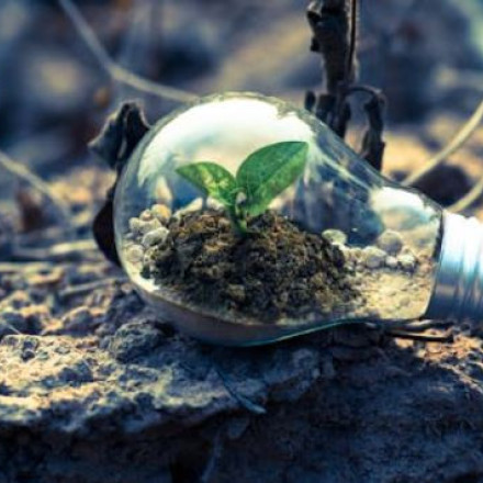 Πράσινες τεχνολογίες δικτύωσης: Πώς η βιωσιμότητα αλλάζει τον κόσμο της συνδεσιμότητας