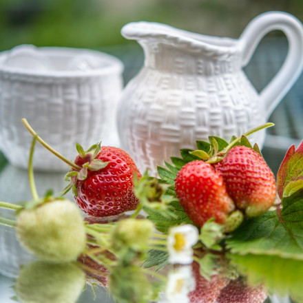 Πέντε απλοί τρόποι για να μειώσεις και τελικά να κόψεις τη ζάχαρη