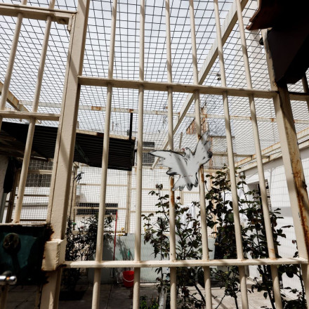 Ντου της Αστυνομίας στις φυλακές Κορυδαλλού - Εντοπίστηκαν κινητά τηλέφωνα