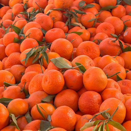 Τι κερδίζεις όταν τρως μανταρίνια καθημερινά – Τα βασικά οφέλη για τον οργανισμό