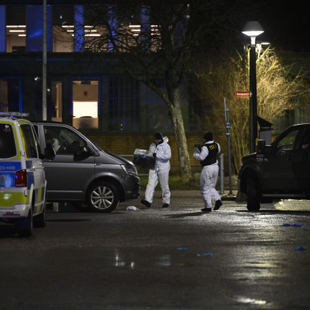 Σουηδία: Αστυνομικοί σκότωσαν νεαρό που επιτέθηκε σε ενοίκους ενός σπιτιού στο Μπόντεν - Μια νεκρή