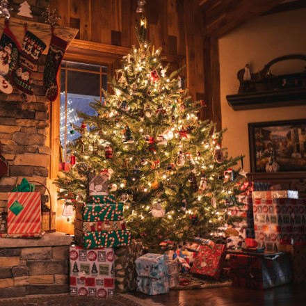 Δέντρο ή καραβάκι: Πότε ήρθε το χριστουγεννιάτικο έλατο στην Ελλάδα και τι είναι πιο «παραδοσιακό»