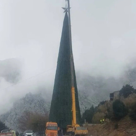 Διχάζει το πελώριο χριστουγεννιάτικο δέντρο στο φαράγγι της Σαμαριάς - Ερωτήματα και αντιδράσεις