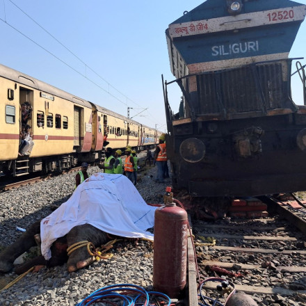 Ινδία: Τρένο συγκρούστηκε με κοπάδι 100 ελεφάντων που διέσχιζε τις ράγες - Σκοτώθηκαν οι επτά