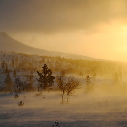 Σουηδία: Στους τρεις οι νεκροί από την φονική καταιγίδα «Γιοχάνες» - Έπληξε και την Φινλανδία