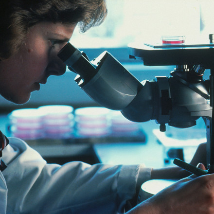 Πώς έχει επηρεάσει την επιστήμη η «άνθηση» της τεχνητής νοημοσύνης - Ποσότητα έναντι ποιότητας;