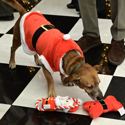 Ο Μητσοτάκης άκουσε τα κάλαντα από το Μουσικό Σχολείο Αλίμου μαζί με τον... χριστουγεννιάτικο Πίνατ