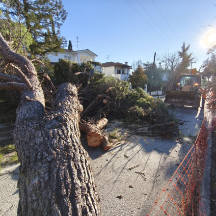«Βουτιά» της θερμοκρασίας στη Μακεδονία - Σάρωσαν τη Θεσσαλονίκη οι θυελλώδεις άνεμοι