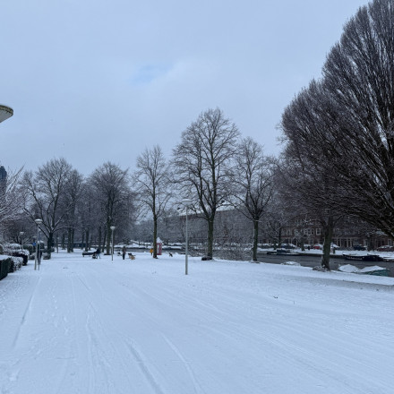 Χάος στο Άμστερνταμ: Πτήσεις ακυρώνονται, τρένα σταματούν λόγω χιονιού