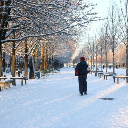 Χιόνια και πολικές θερμοκρασίες «σαρώνουν» την Ευρώπη- Θανατηφόρα τροχαία και χάος στις μετακινήσεις