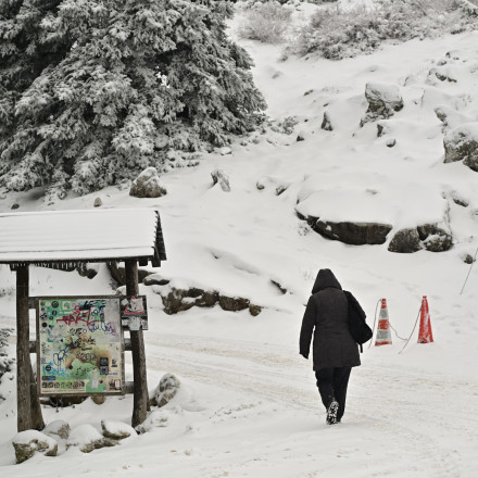 Στα «λευκά» τα χιονοδρομικά κέντρα  - Δείτε live σφοδρή χιονόπτωση σε Πισοδέρι, Σέλι, Βασιλίτσα