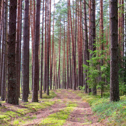 Βιοφοβία: Τι σημαίνει αν δεν αγαπάμε όλοι τη φύση το ίδιο