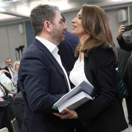 Προκριματικές για βουλευτές – τέλος λέει ο Ανδρουλάκης - Όλα ανοικτά για Κασιμάτη