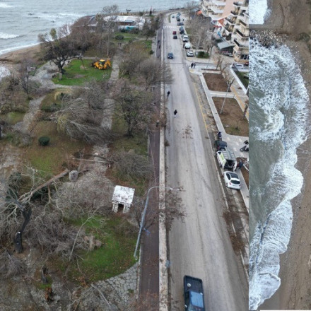 Αλεξανδρούπολη: Σε ευπαθείς ομάδες για καύσιμη ύλη τα δέντρα που ξεριζώθηκαν από την κακοκαιρία