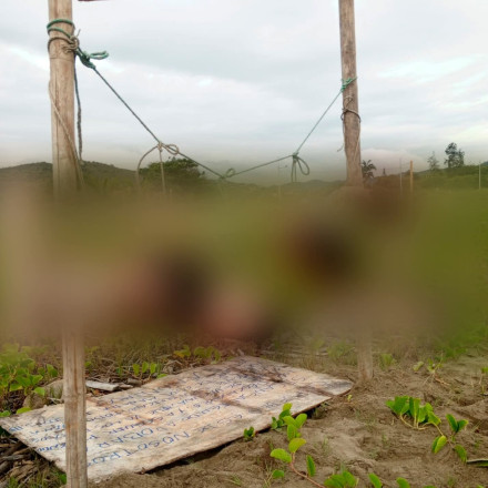 Φρίκη στον Ισημερινό: Εντοπίστηκαν πέντε ανθρώπινα κεφάλια κρεμασμένα σε στύλους