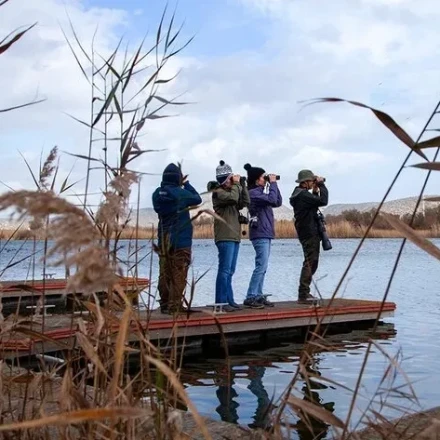 Κρήτη: Πάρτε φακό και φωτογραφική μηχανή και καταγράψτε τα υδρόβια πουλιά!