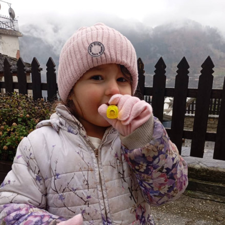 Από ένα post στο Facebook σε μια νέα ζωή: Οικογένειες άφησαν την Αθήνα για τη Ζίτσα Ιωαννίνων