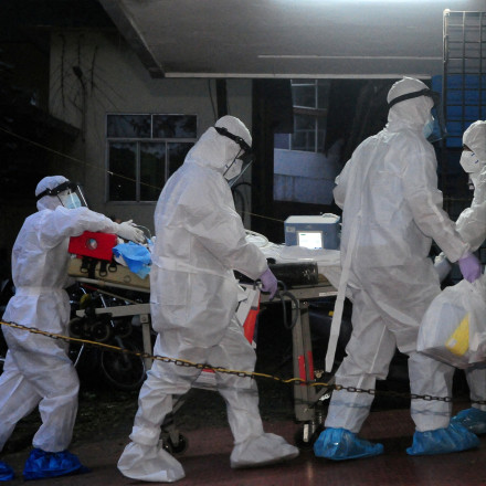 Καθησυχάζει ο ΠΟΥ - Χαμηλός ο κίνδυνος εξάπλωσης του ιού Νίπα εκτός Ινδίας