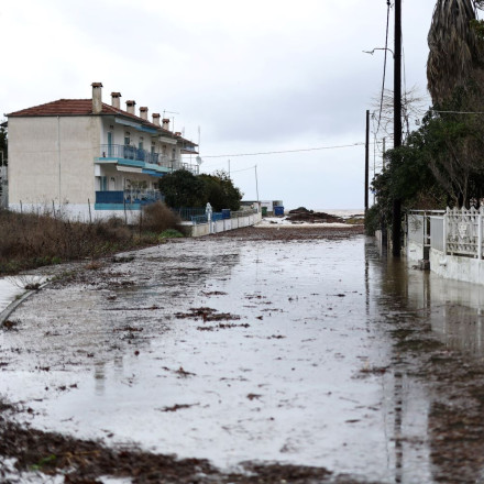 Αγιόκαμπος Λάρισας: Παντοπώλης ξεσπάει σε κλάματα on camera για την καταστροφή που υπέστη