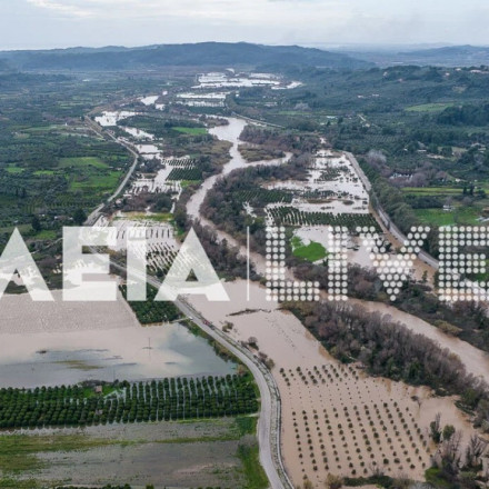 Υγειονομική «βόμβα» στην Ηλεία - Τα νερά του Αλφειού κάλυψαν τα δεκάδες νεκρά πρόβατα