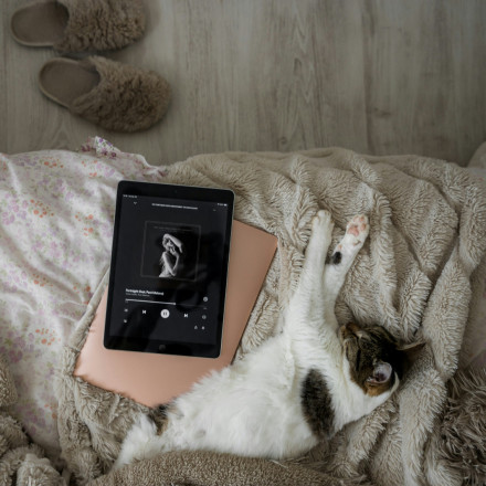 Τελικά, η μουσική είναι θεραπευτική για τα κατοικίδια;