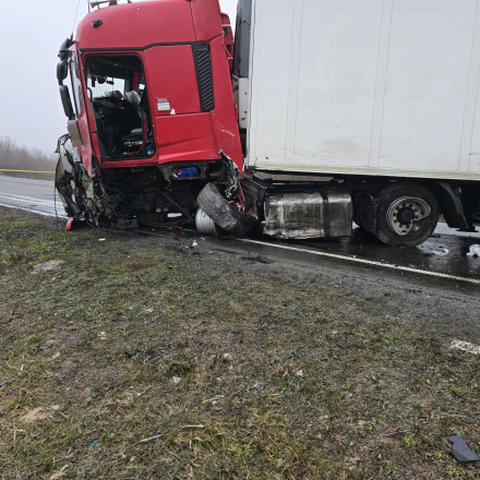 Πολωνός οδηγός νταλίκας που συγκρούστηκε με το βαν των οπαδών του ΠΑΟΚ: Δεν έχω ξαναδεί κάτι τέτοιο