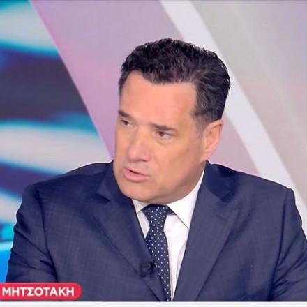 Γεωργιάδης για το ατύχημα της Μαρέβας Μητσοτάκη: «Εμπιστεύτηκε το ΕΣΥ για το χειρουργείο»