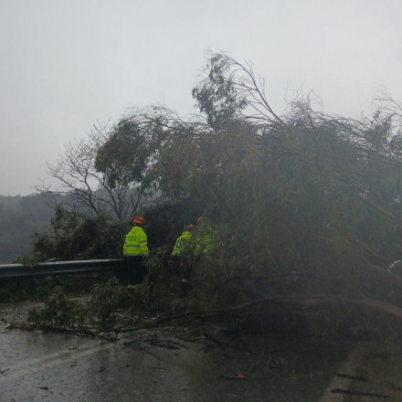 Σφοδρή κακοκαιρία σάρωσε τη Λακωνία – Πλημμύρες και αποκλεισμένα χωριά