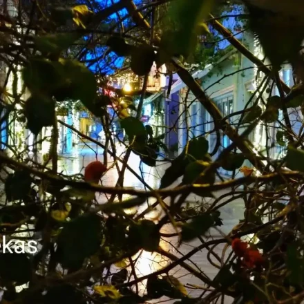 Ναύπλιο: Η περιπέτεια ενός ενοικιαστή σε μια πόλη που «καίει»