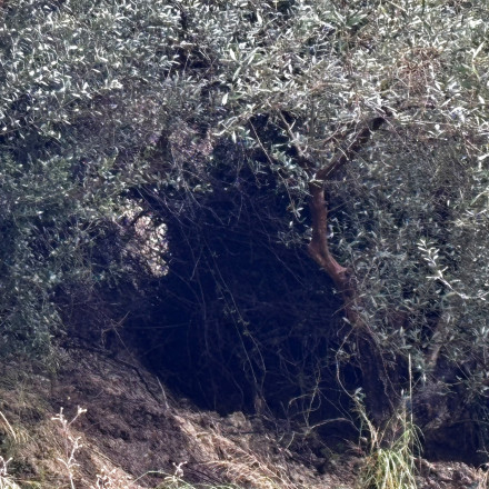 Τεράστιος βράχος απειλεί σπίτια στο Κατάκολο - Εκκενώθηκαν 10 κατοικίες