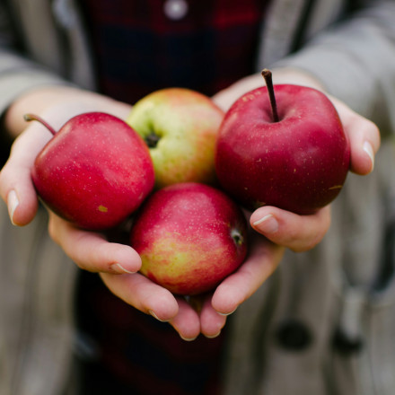 Taste Atlas: Αυτή η ελληνική ποικιλία μήλων κατέκτησε την κορυφή - Ποιες άλλες δυο μπήκαν στη δεκάδα