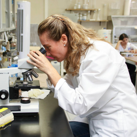 Συναγερμός για τον «Τσικουνγκούνια»: Ο επώδυνος τροπικός ιός απειλεί και την Ελλάδα