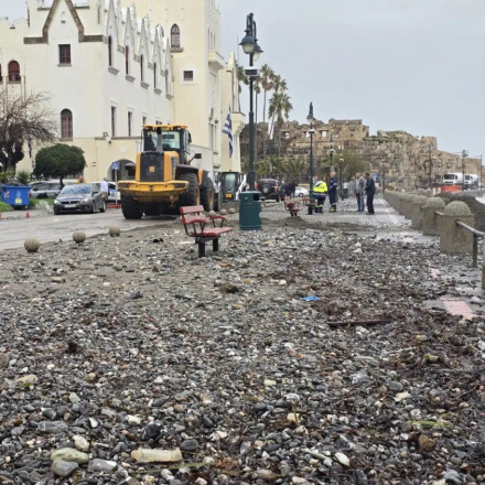 «Σαρώνει» την Κω η κακοκαιρία - Μεγάλες ζημιές από πτώσεις δέντρων