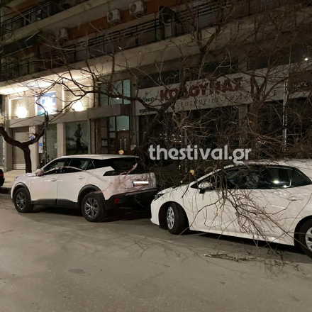 Σάρωσε η κακοκαιρία: 11 μποφόρ στην Κέρκυρα, πτώσεις δέντρων στη Θεσσαλονίκη - Πλημμύρες στην Πάρο