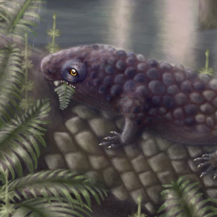 Tyrannoroter: Ένα από τα πρώτα φυτοφάγα ζώα που περπάτησαν στη Γη βρήκαν επιστήμονες - Πώς έμοιαζε