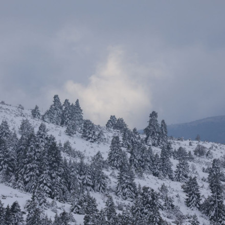 Χωρίς αποτέλεσμα οι έρευνες στο Βελούχι για τον 74χρονο αγνοούμενο ορειβάτη