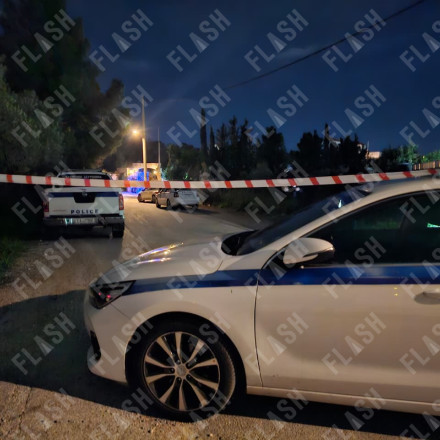Τέλος στο θρίλερ των Σπάτων: Βίντεο με τη στιγμή που αστυνομικοί εντοπίζουν τον Χρήστο Μαυρίκη