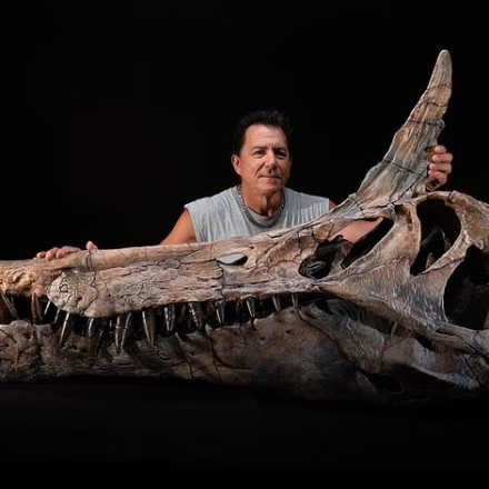 Αναβρασμός στους επιστήμονες: Ανακαλύφθηκε νέο είδος δεινοσαύρου - Ήταν ο πρώτος «δράκος» της Γης;