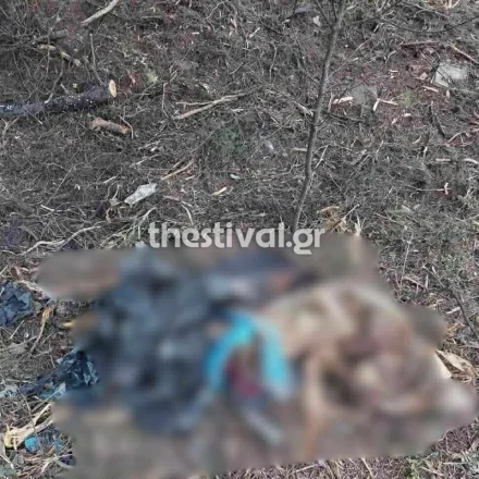 Χαλκιδική: Ερωτήματα για το ακέφαλο πτώμα γυναίκας που βρέθηκε σε σακούλα - Τι εξετάζουν οι Αρχές