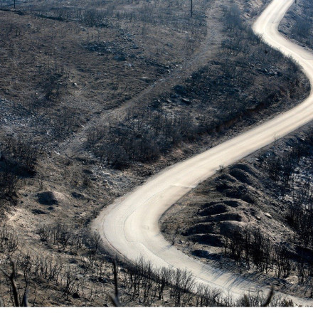 Αιολικά πάρκα Έβρος: Το υπουργείο Περιβάλλοντος αποσύρει σχετική απόφαση για τα καμένα – Δεν υπάρχει επιστημονική συναίνεση
