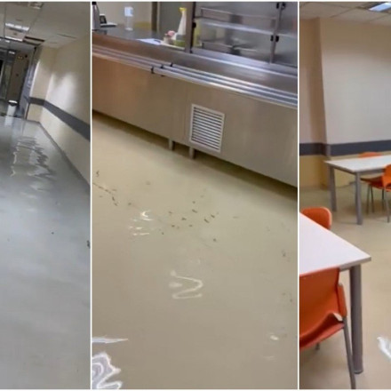 Κακοκαιρία Elias: Πλημμύρισαν το υπόγειο και η τραπεζαρία του νοσοκομείου του Βόλου – Δείτε τις απίστευτες εικόνες [vids]