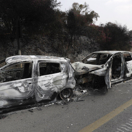 Πόλεμος στο Ισραήλ: Λουτρό αίματος στο μουσικό φεστιβάλ – Μαρτυρίες «γροθιά στο στομάχι»