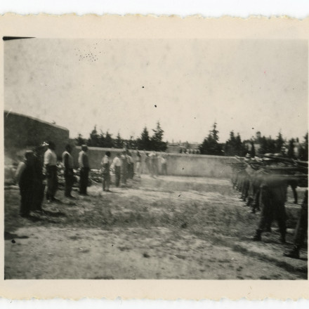 Αντίγραφα των ντοκουμέντων της Καισαριανής ζητά από τη Μενδώνη ο Κουτσούμπας