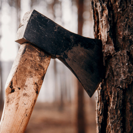 Αχαΐα: 62χρονος βρέθηκε νεκρός σε δάσος - Πήγε να κόψει ξύλα και αυτοτραυματίστηκε με τσεκούρι